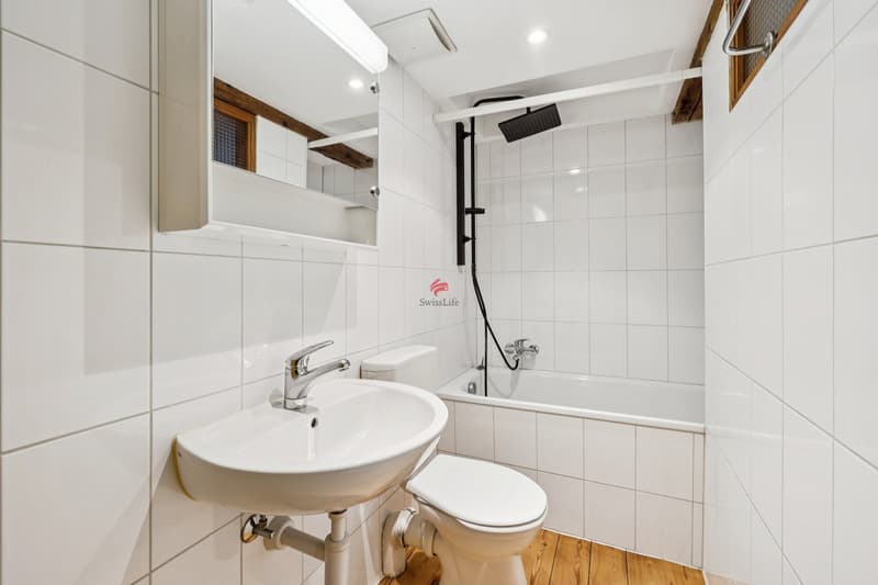 Historic house with modern living comfort (6)