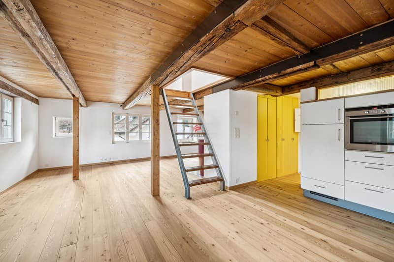 Historic house with modern living comfort (8)