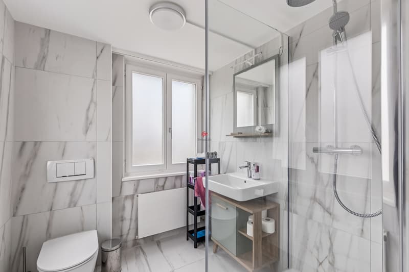 Two tenants. Five floors. Completely renovated. (9)