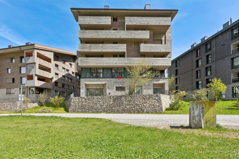 Alpine Exzellenz - Exklusive Residenz im Resort "Andermatt Swiss Alps" (13)