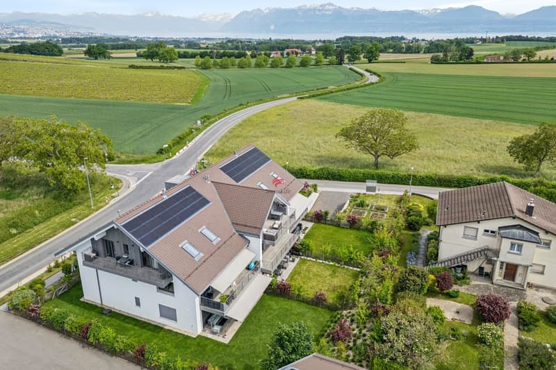 Zwischen Weinbergen und See, Luxus und großzügige Räume (1)