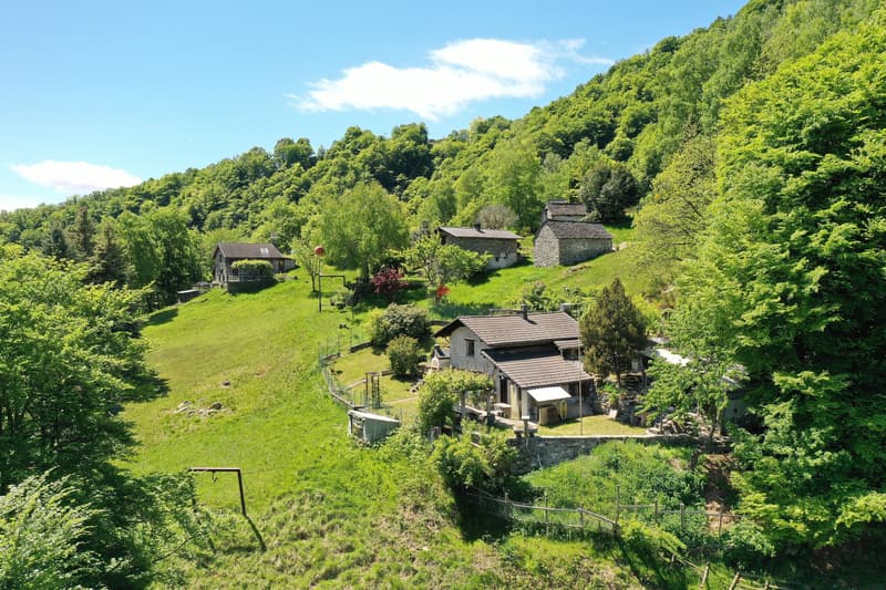 Das erste Haus auf der Waldlichtung bietet einen Blick nach Mergoscia. / Das erste Haus auf der Waldlichtung mit Blick nach Mergoscia