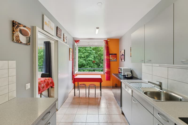 Spacious 4-room crossing apartment in a quiet location (4)