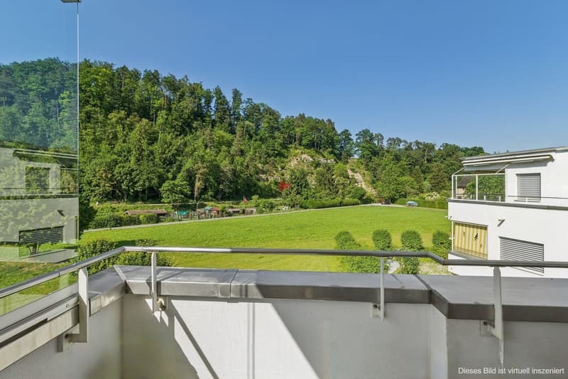 Natura e vicinanza alla città garantite - vivere direttamente sulle rive della Sihl (5)