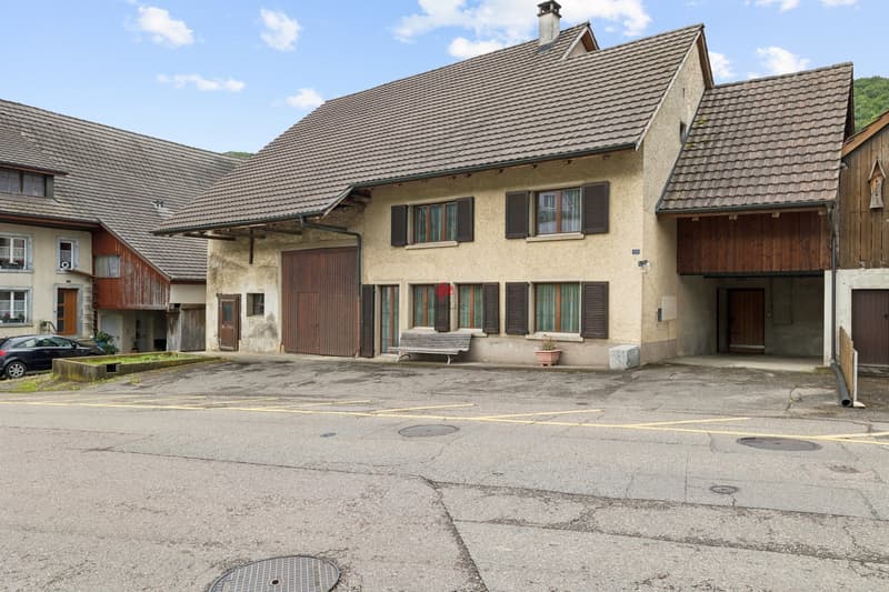 Wohnhaus mit grossem Ökonomiegebäude - Raum für Visionen (1)