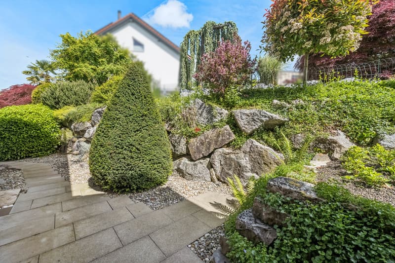 Hinterhof mit Steinen, Büschen und Bäumen. / photo of the front yard of a home with rocks, bushes and trees