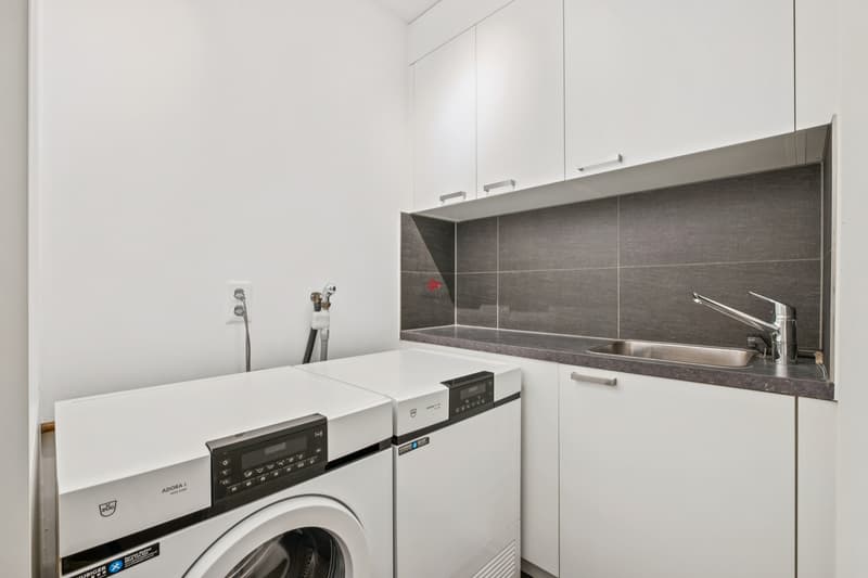 Modern living in a garden apartment (8)