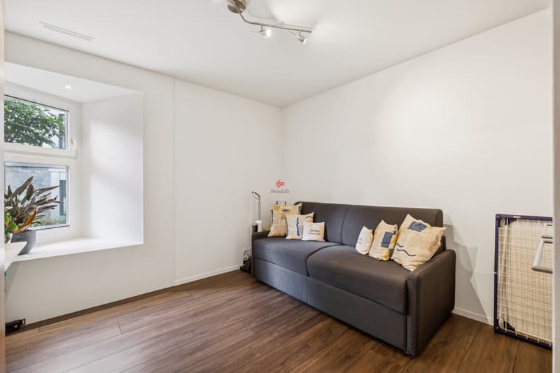 Modern living in a garden apartment (4)