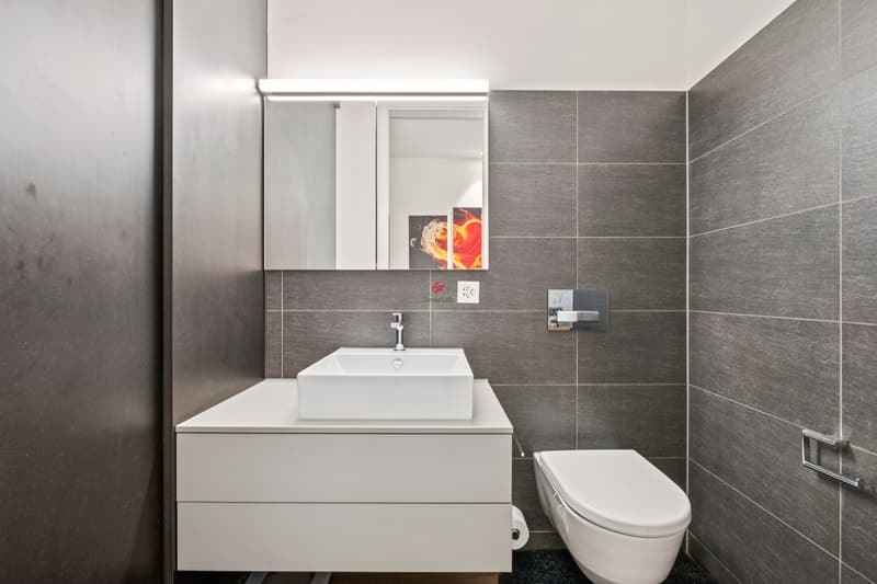 Modern living in a garden apartment (7)