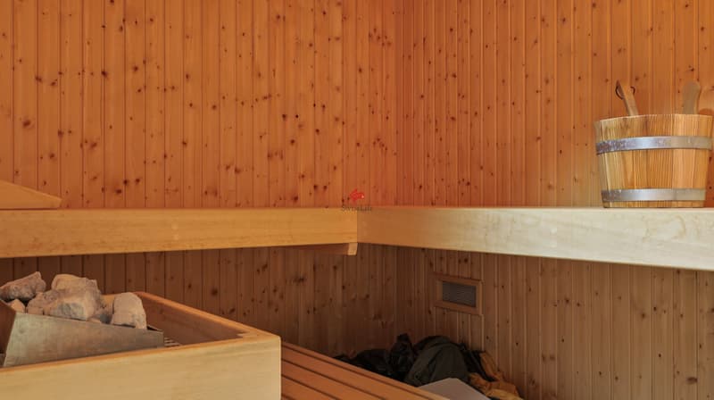 Family paradise with sauna and fitness room (13)
