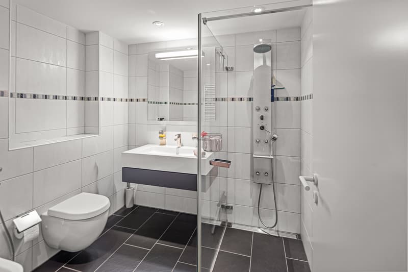 Appartement mansarde élégant avec terrasse de 80 m² (8)