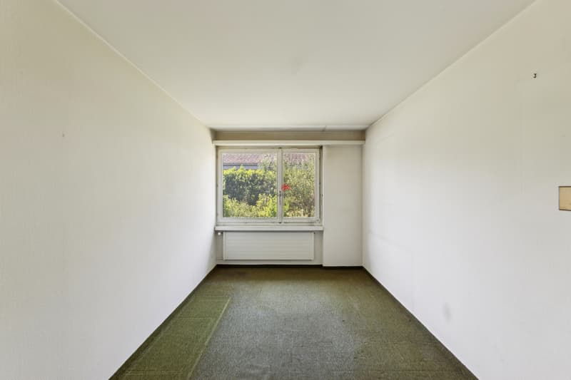 "Vita Verde" - A Diamond in the Rough at a Prime Location (13)