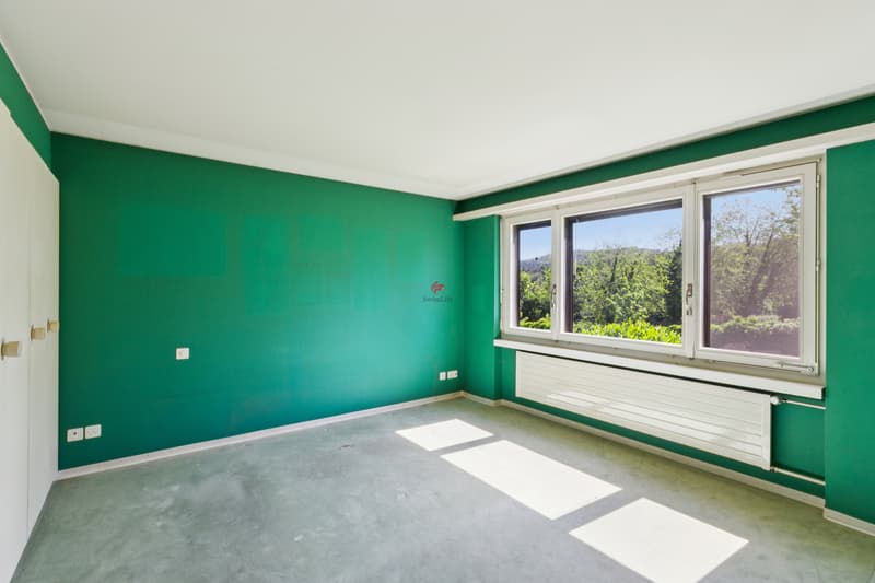 "Vita Verde" - A Diamond in the Rough at a Prime Location (10)