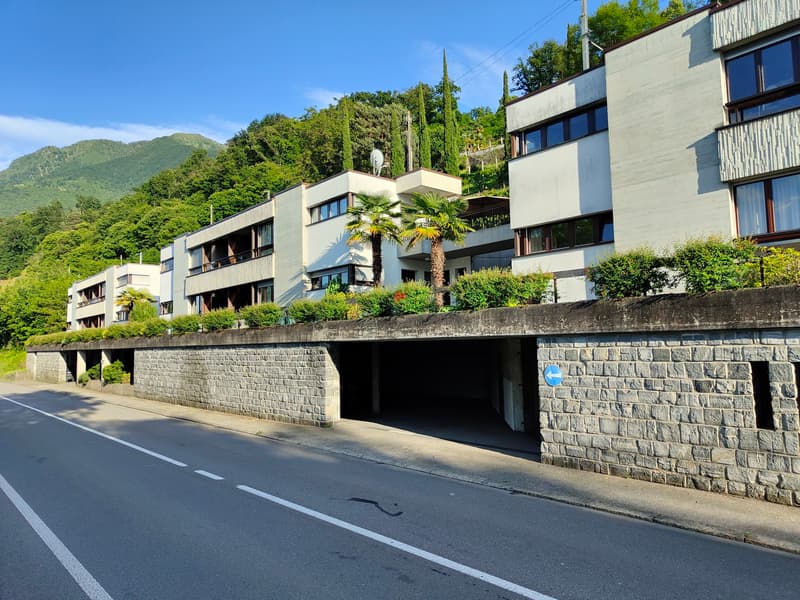 Das Seeufer praktisch direkt zu Ihren Füssen (9)