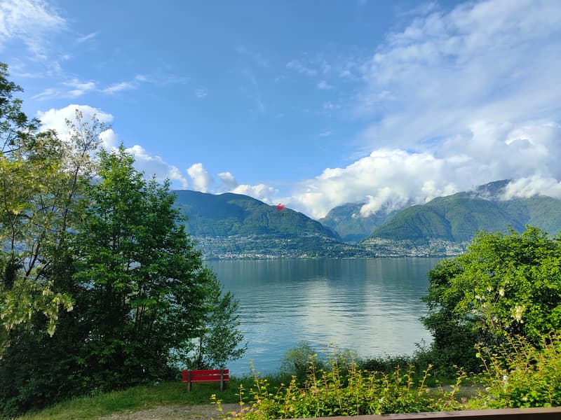 Von der Wohnung und der Terrasse aus schweift der Blick sowohl über den See und die Natur als auch über die gegenüberliegende Seeseite. / La vista dall'appartamento e dalla terrazza spazia sul lago