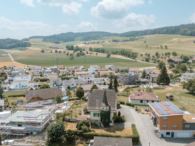 Historischer Charme mit Baulandreserven (2)