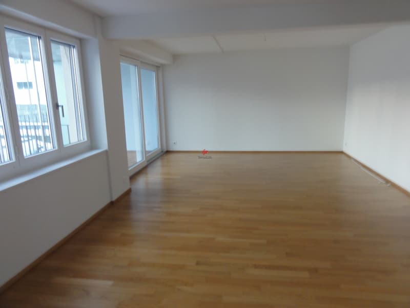 Cozy 3.5 room apartment with winter garden (3)