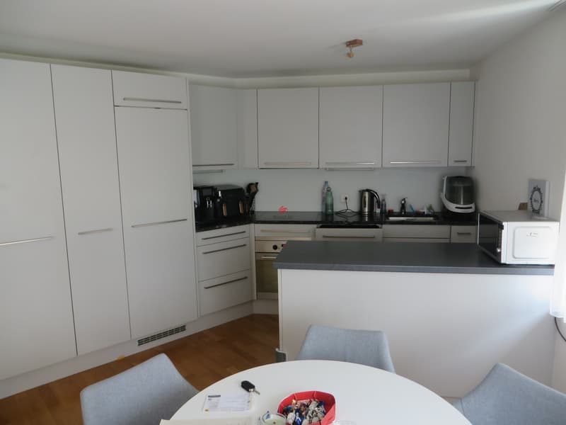 Cozy 3.5 room apartment with winter garden (2)