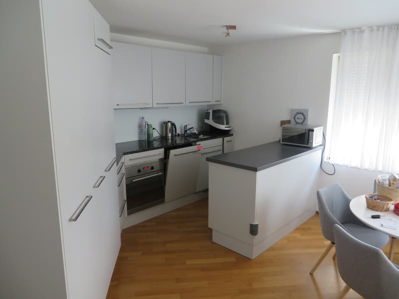 Cozy 3.5 room apartment with winter garden (1)