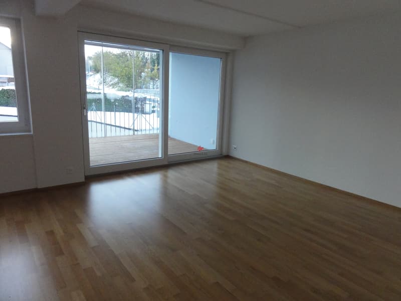 Cozy 3.5 room apartment with winter garden (5)
