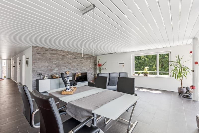 Espace de vie familial moderne... dans un emplacement idéal ! (6)