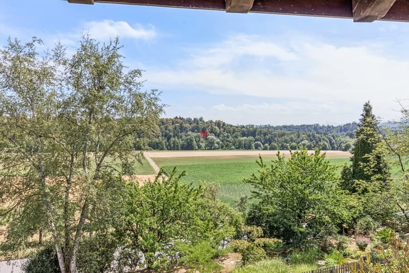 Aussicht vom Wohnzimmer