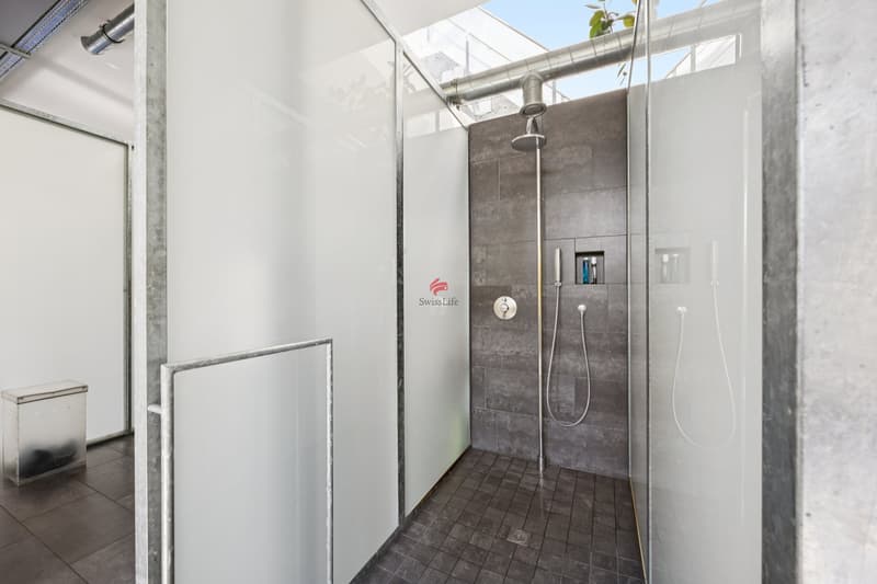 Unique loft with surrounding area (10)