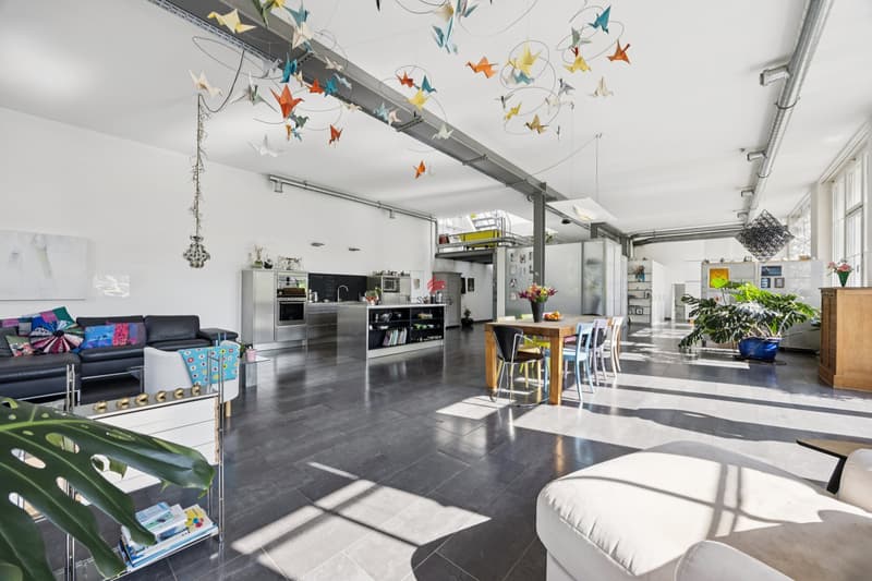 Unique loft with surrounding area (2)