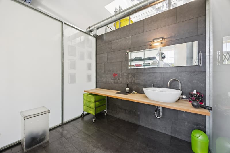 Unique loft with surrounding area (9)