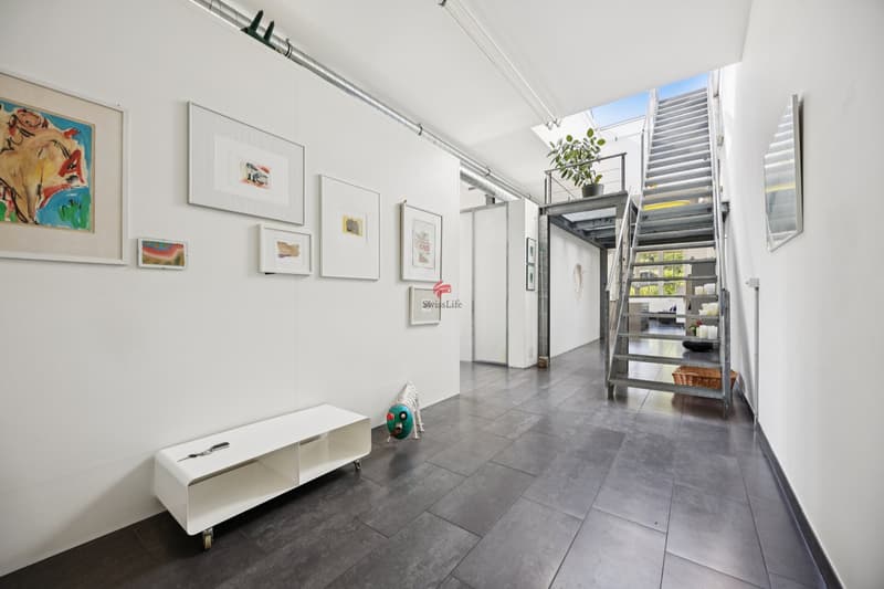 Unique loft with surrounding area (6)