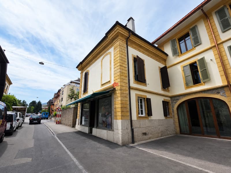 Charming residence with potential (4)