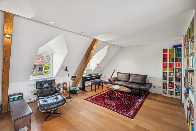 Habitation moderne à Bâle - à proximité du Rhin (6)
