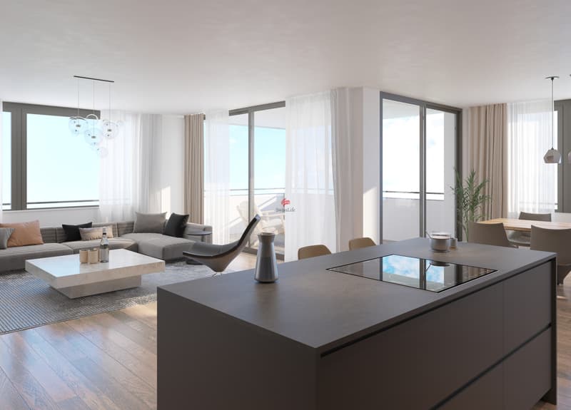 Living space in a new building (1)