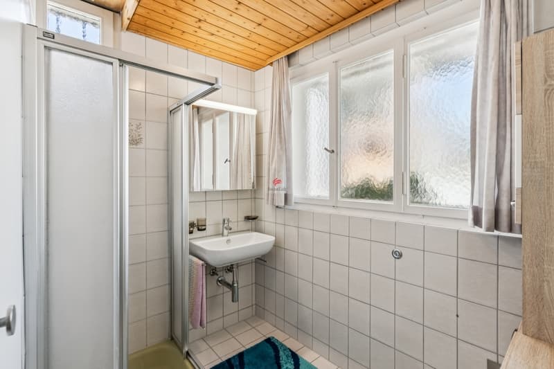 Platz zum Wohnen und Arbeiten (11)