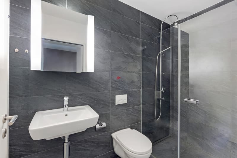 Hochwertige 4.5 Zimmer Wohnung mit sonniger Loggia und Felseneggblick (12)