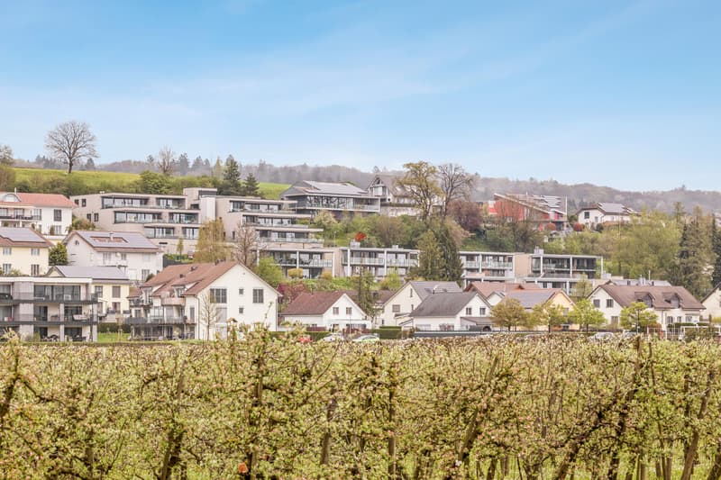 Neue Minergie-Attika (2020) - Hausflair pur! (11)