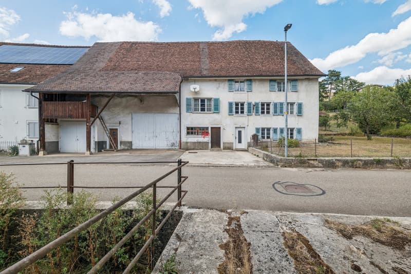 Ancienne ferme de caractère avec potentiel au centre du village (1)