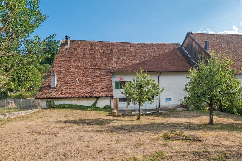 Ancienne ferme de caractère avec potentiel au centre du village (2)