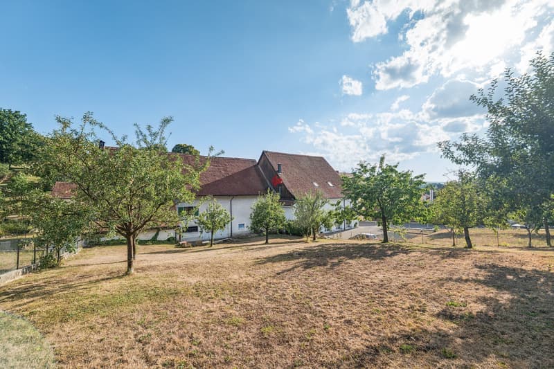 Ancienne ferme de caractère avec potentiel au centre du village (3)