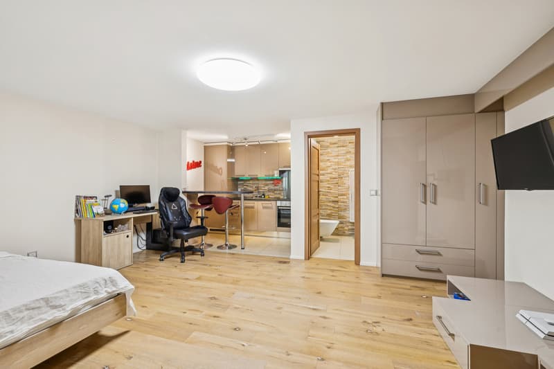 / Studio avec bains / Home cinéma