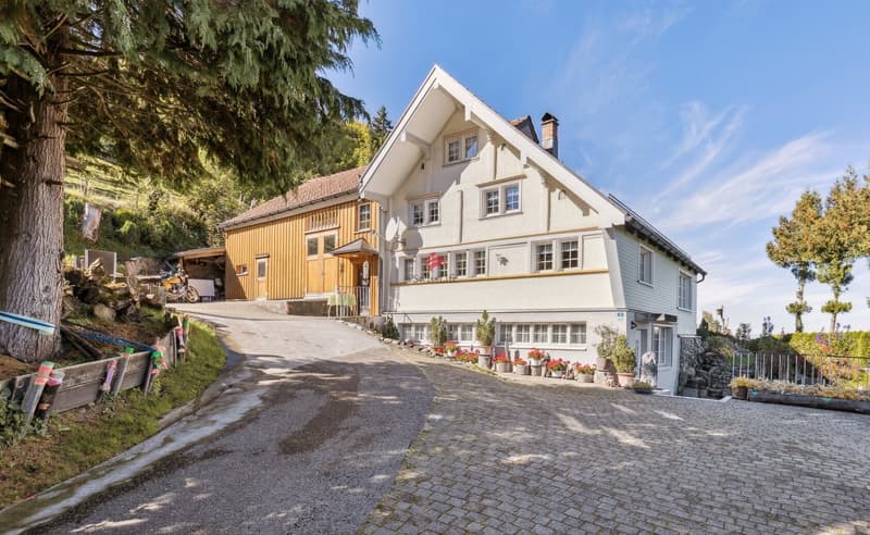 Ein Bijou inmitten der Appenzeller Hügellandschaft (2)