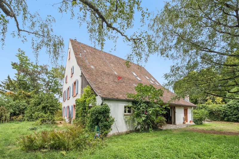 Historisches Bauernhaus - Wohnen mit Atmosphäre und Geschichte (2)