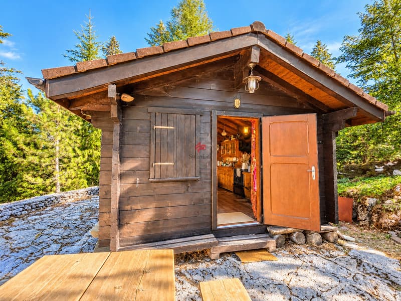 Chalet au coeur de la nature (9)