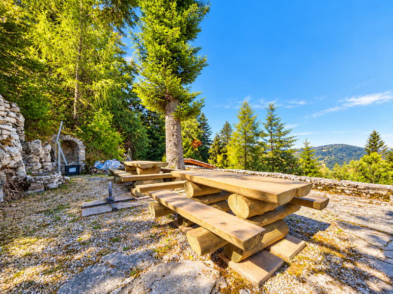Chalet au coeur de la nature (2)