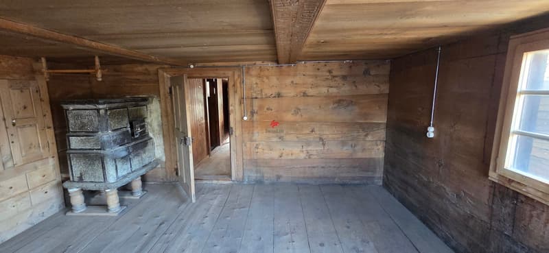 Wohnung mit historischem Charme (2)