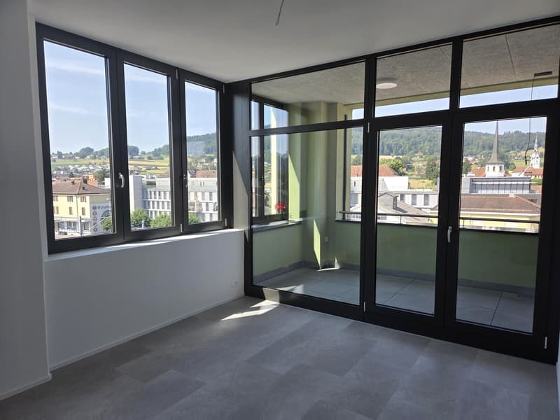 Loftwohnungen teilweise mit Loggia