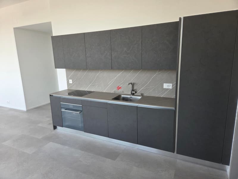 Moderne Küchen in jeder Wohnung