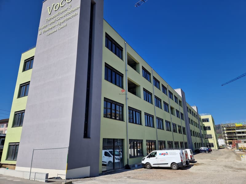 Moderne Loftwohnungen - Erstbezug (1)