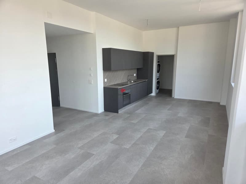 Grosse Räume, verschiedene Grundrisse in jeder Wohnung