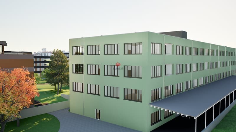 Moderne Loftwohnungen - Erstbezug (13)